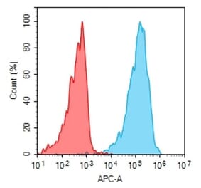 Flow Cytometry - Anti-GPCR GPRC5D Antibody [DM90] (Biotin) - Azide free (A318615) - Antibodies.com