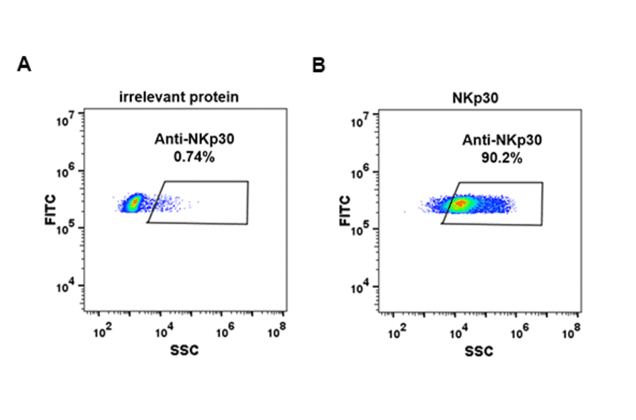 Flow Cytometry - Anti-NKp30 Antibody [DM88] - Azide free (A318618) - Antibodies.com