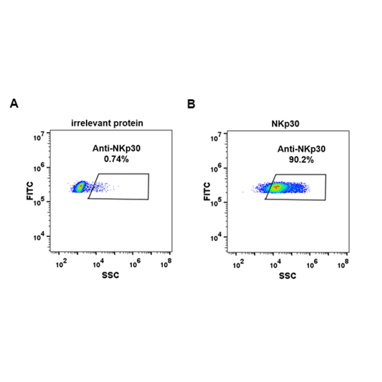 Flow Cytometry - Anti-NKp30 Antibody [DM88] - Azide free (A318618) - Antibodies.com