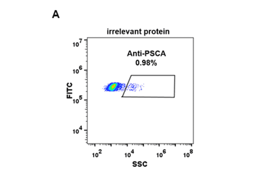 Flow Cytometry - Anti-PSCA Antibody [DM87] - BSA and Azide free (A318620) - Antibodies.com