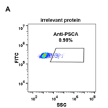 Flow Cytometry - Anti-PSCA Antibody [DM87] - BSA and Azide free (A318620) - Antibodies.com