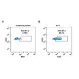 Flow Cytometry - Anti-CD86 Antibody [DM86] - Azide free (A318621) - Antibodies.com