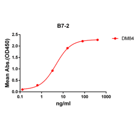 ELISA - Anti-CD86 Antibody [DM84] - Azide free (A318623) - Antibodies.com