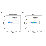 Flow Cytometry - Anti-CD86 Antibody [DM84] - Azide free (A318623) - Antibodies.com