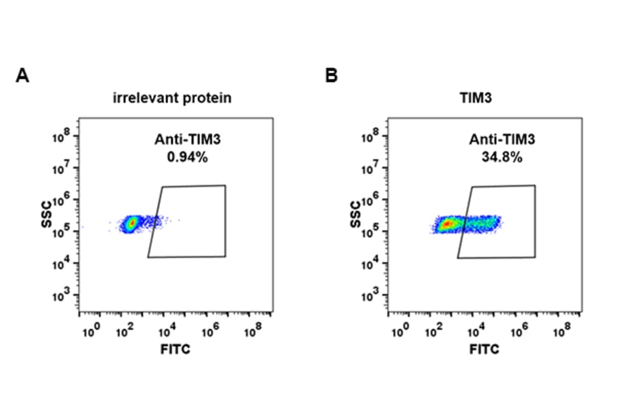 Flow Cytometry - Anti-TIM 3 Antibody [DM83] - BSA and Azide free (A318624) - Antibodies.com