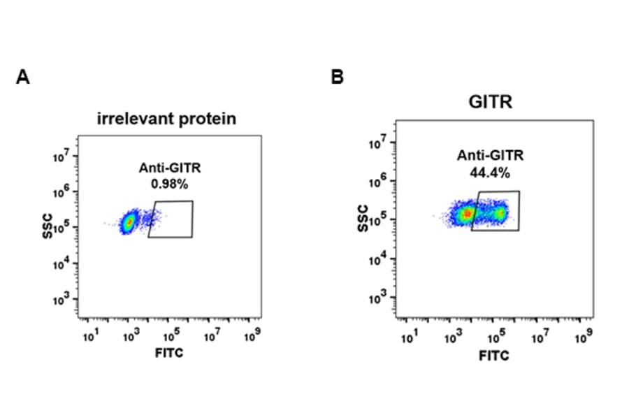 Flow Cytometry - Anti-GITR Antibody [DM80] - BSA and Azide free (A318625) - Antibodies.com