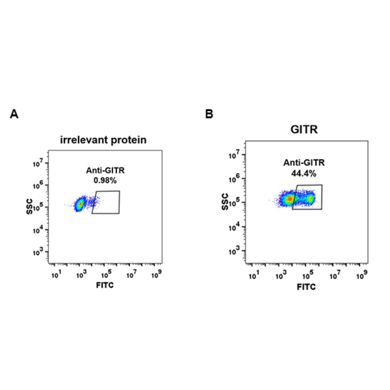 Flow Cytometry - Anti-GITR Antibody [DM80] - BSA and Azide free (A318625) - Antibodies.com