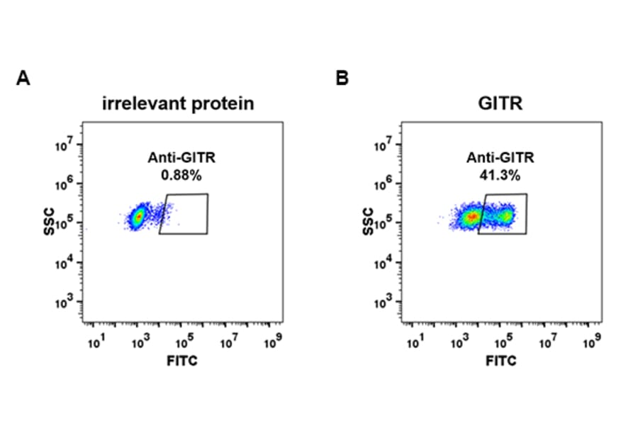 Flow Cytometry - Anti-GITR Antibody [DM79] - BSA and Azide free (A318626) - Antibodies.com
