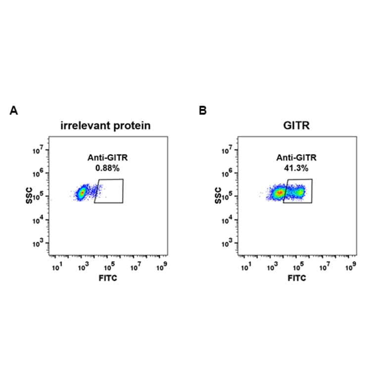 Flow Cytometry - Anti-GITR Antibody [DM79] - BSA and Azide free (A318626) - Antibodies.com