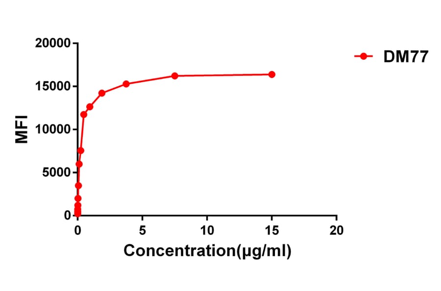 Flow Cytometry - Anti-CD33 Antibody [DM77] - BSA and Azide free (A318627) - Antibodies.com