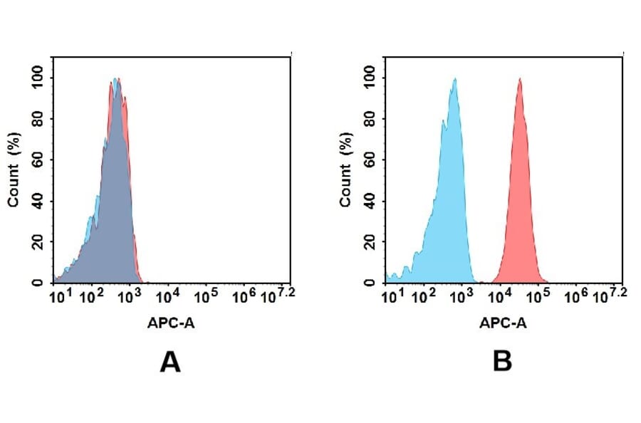 Flow Cytometry - Anti-CD33 Antibody [DM77] - BSA and Azide free (A318627) - Antibodies.com