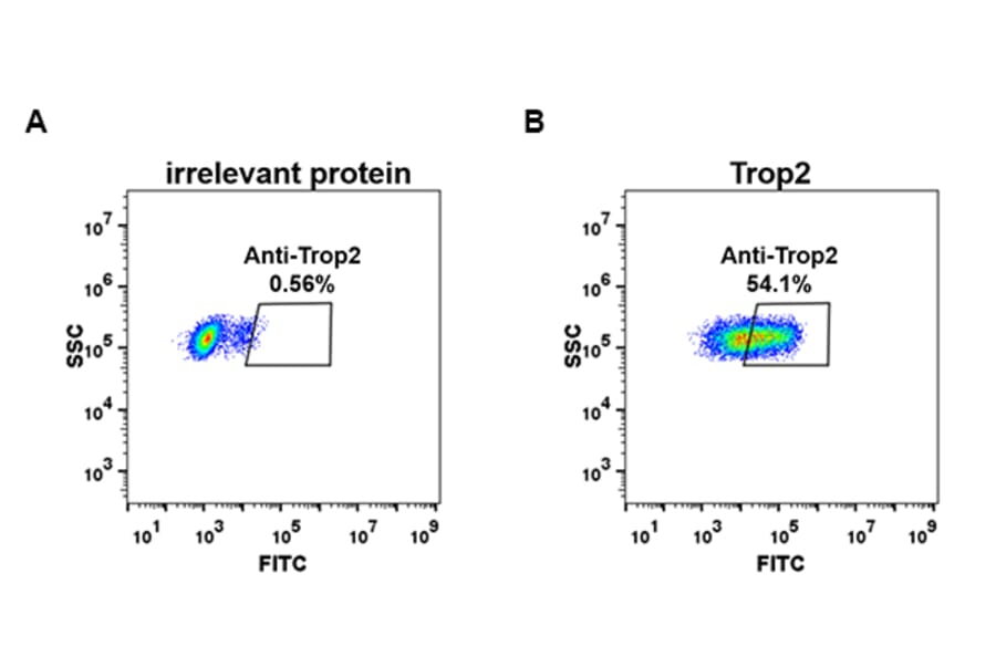 Flow Cytometry - Anti-TROP2 Antibody [DM76] - BSA and Azide free (A318628) - Antibodies.com