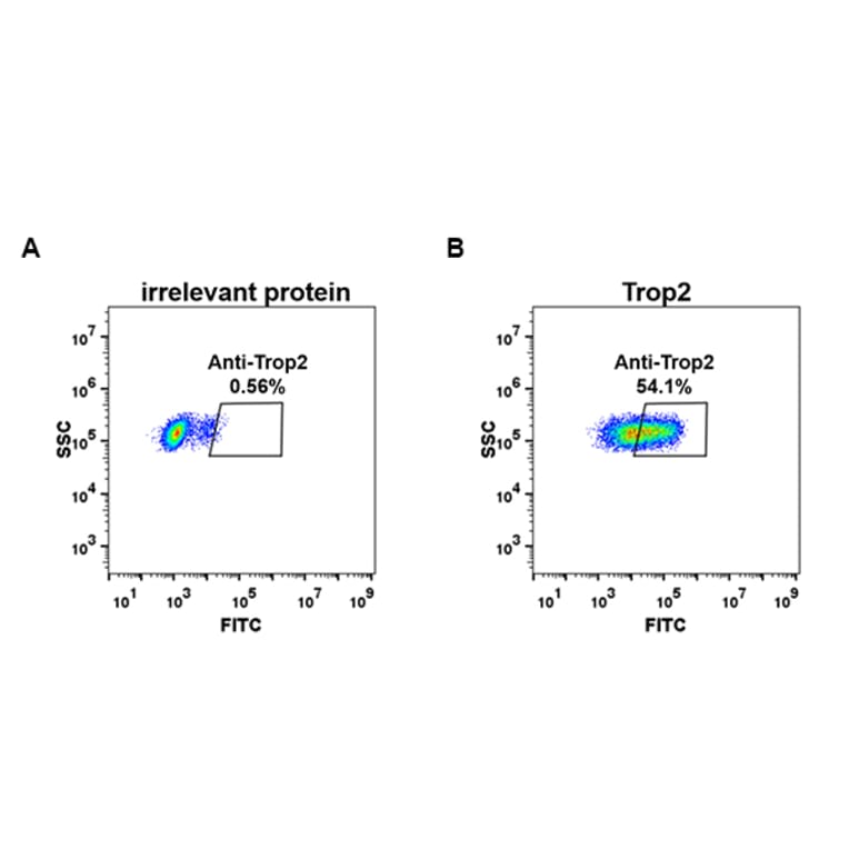 Flow Cytometry - Anti-TROP2 Antibody [DM76] - BSA and Azide free (A318628) - Antibodies.com