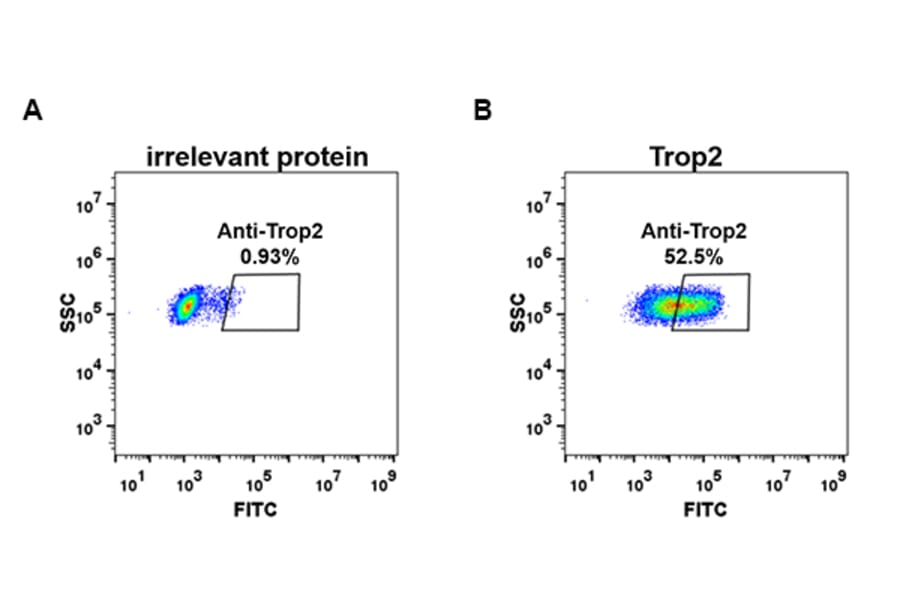 Flow Cytometry - Anti-TROP2 Antibody [DM74] - BSA and Azide free (A318629) - Antibodies.com