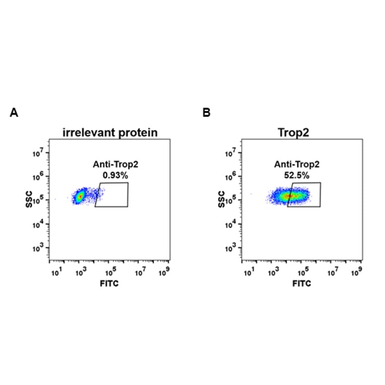 Flow Cytometry - Anti-TROP2 Antibody [DM74] - BSA and Azide free (A318629) - Antibodies.com