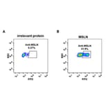 Flow Cytometry - Anti-Mesothelin Antibody [DM72] - BSA and Azide free (A318630) - Antibodies.com