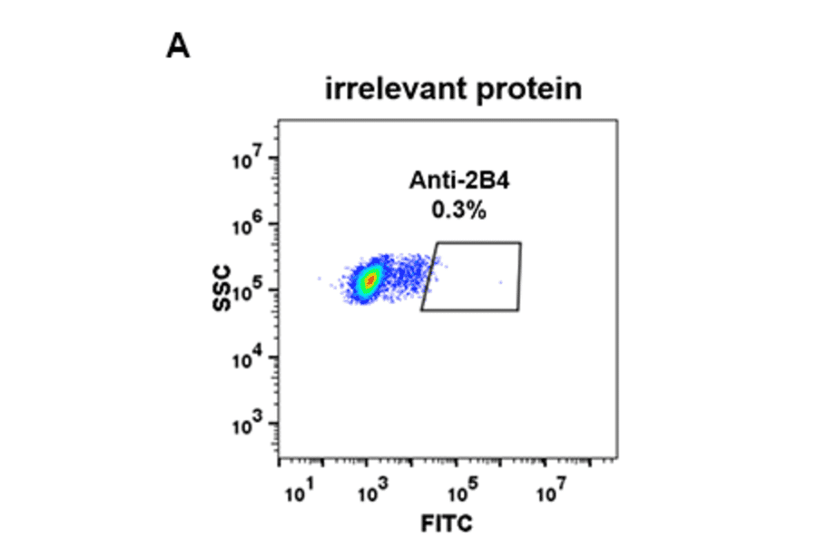 Flow Cytometry - Anti-2B4 Antibody [DM69] - BSA and Azide free (A318631) - Antibodies.com