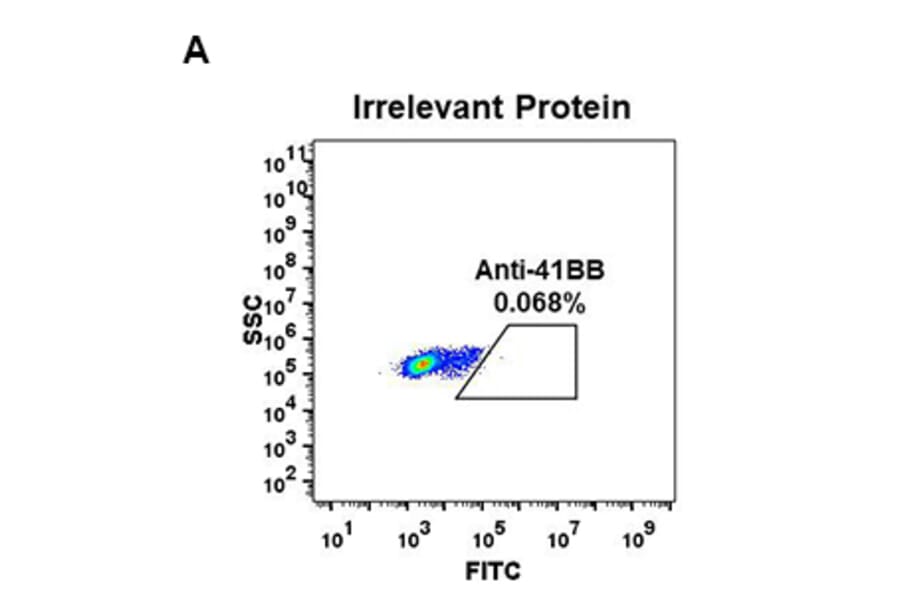 Flow Cytometry - Anti-CD137 Antibody [DM67] - BSA and Azide free (A318632) - Antibodies.com
