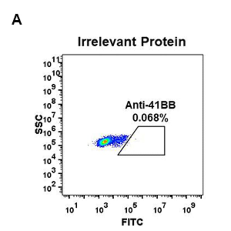 Flow Cytometry - Anti-CD137 Antibody [DM67] - BSA and Azide free (A318632) - Antibodies.com
