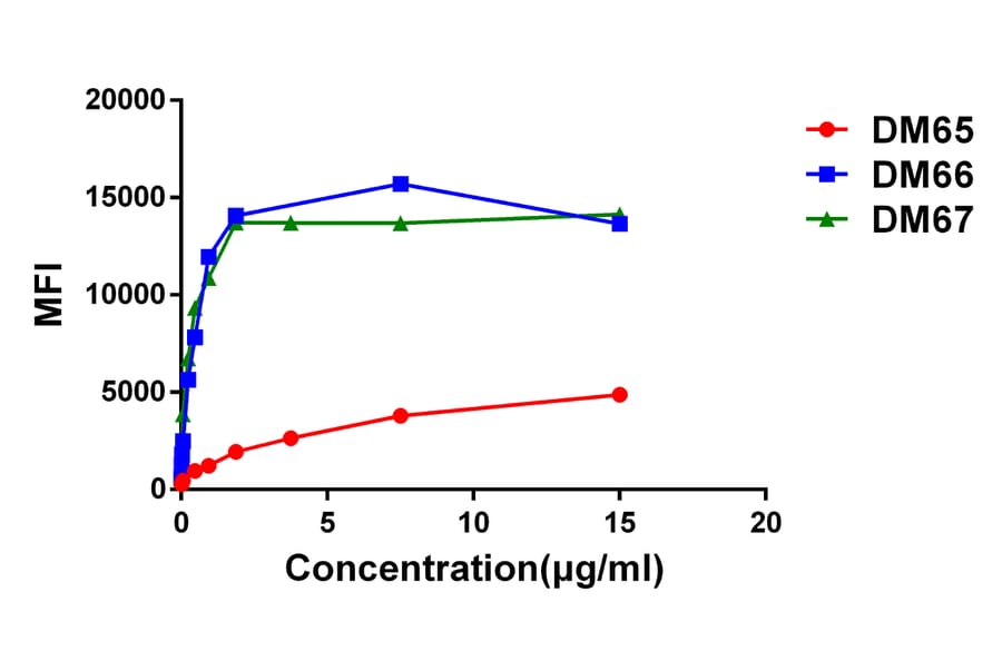 Flow Cytometry - Anti-CD137 Antibody [DM67] - BSA and Azide free (A318632) - Antibodies.com