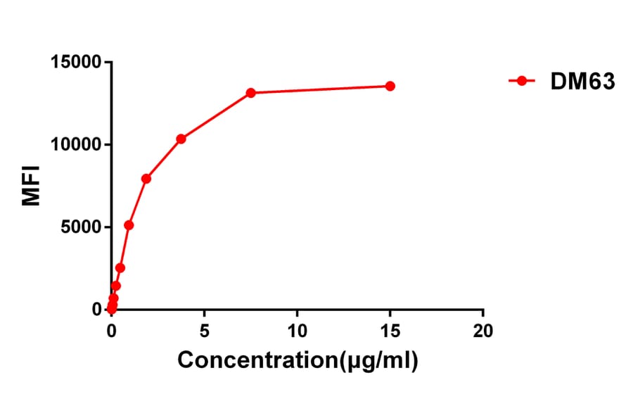 Flow Cytometry - Anti-CD28 Antibody [DM63] - BSA and Azide free (A318634) - Antibodies.com