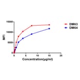 Flow Cytometry - Anti-CD28 Antibody [DM63] - BSA and Azide free (A318634) - Antibodies.com