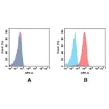 Flow Cytometry - Anti-CD28 Antibody [DM63] - BSA and Azide free (A318634) - Antibodies.com