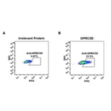 Flow Cytometry - Anti-GPCR GPRC5D Antibody [DM61] - BSA and Azide free (A318636) - Antibodies.com