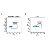 Flow Cytometry - Anti-CD27 Antibody [DM59] - BSA and Azide free (A318638) - Antibodies.com