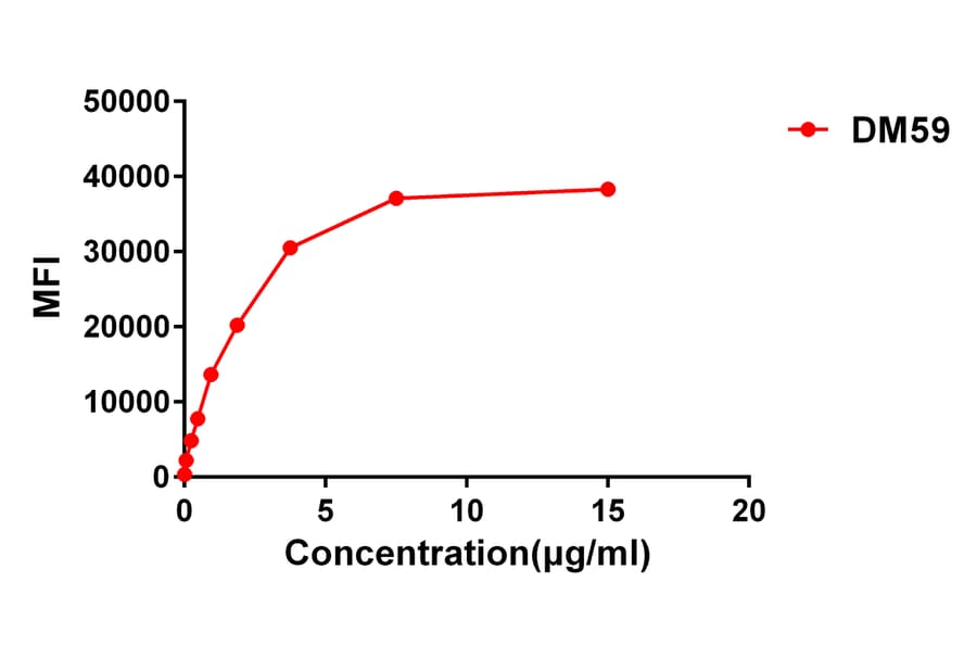 Flow Cytometry - Anti-CD27 Antibody [DM59] - BSA and Azide free (A318638) - Antibodies.com