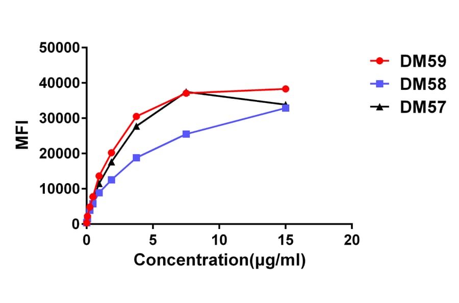 Flow Cytometry - Anti-CD27 Antibody [DM59] - BSA and Azide free (A318638) - Antibodies.com