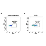 Flow Cytometry - Anti-CD27 Antibody [DM58] - BSA and Azide free (A318639) - Antibodies.com