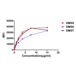 Flow Cytometry - Anti-CD27 Antibody [DM58] - BSA and Azide free (A318639) - Antibodies.com