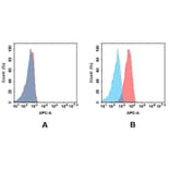 Flow Cytometry - Anti-CD27 Antibody [DM58] - BSA and Azide free (A318639) - Antibodies.com