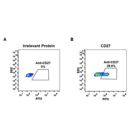Flow Cytometry - Anti-CD27 Antibody [DM57] - BSA and Azide free (A318640) - Antibodies.com