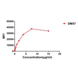 Flow Cytometry - Anti-CD27 Antibody [DM57] - BSA and Azide free (A318640) - Antibodies.com