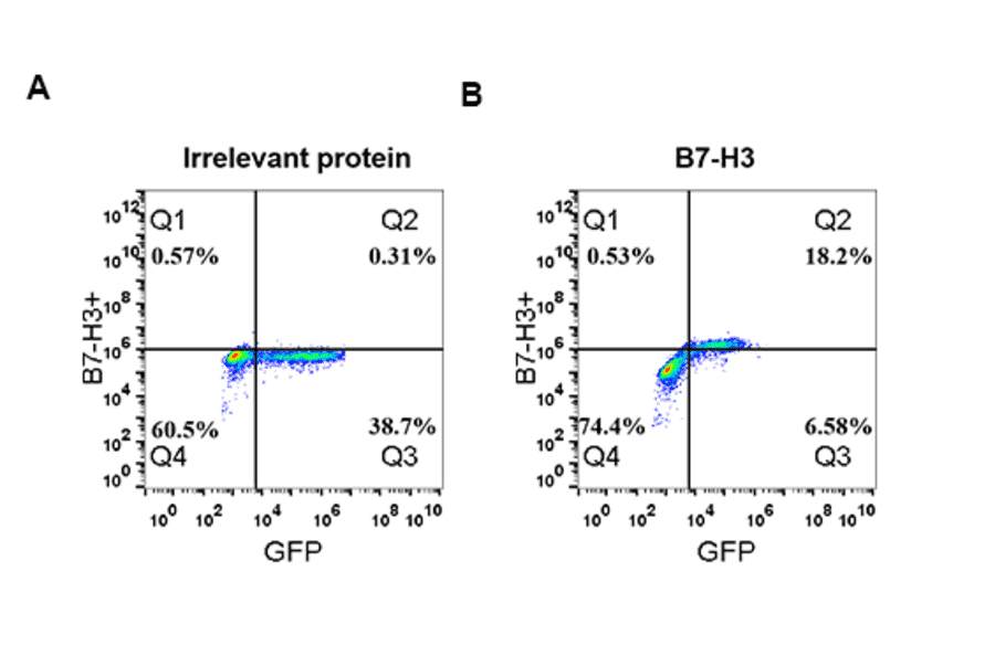Flow Cytometry - Anti-CD276 Antibody [DM53] - Azide free (A318643) - Antibodies.com