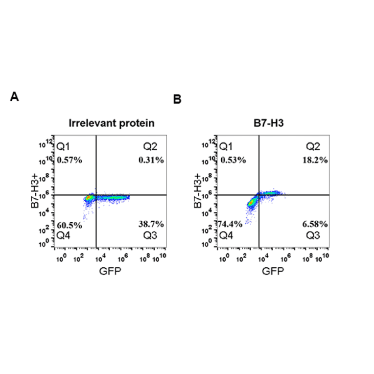 Flow Cytometry - Anti-CD276 Antibody [DM53] - Azide free (A318643) - Antibodies.com