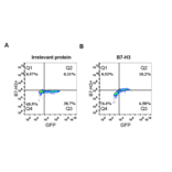 Flow Cytometry - Anti-CD276 Antibody [DM53] - Azide free (A318643) - Antibodies.com