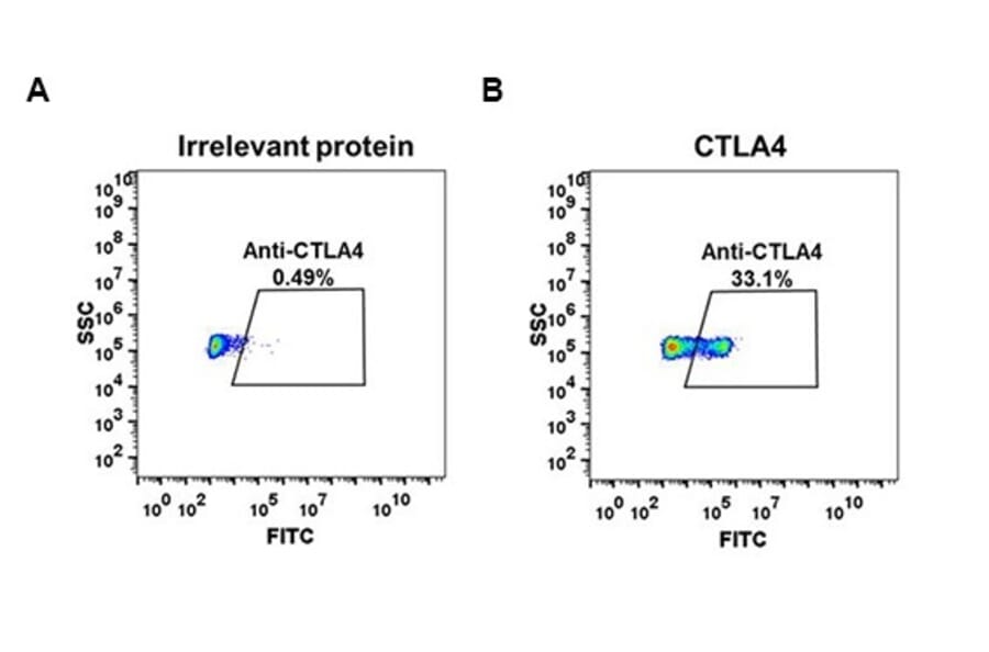 Flow cytometry - Recombinant Anti-CTLA4 Antibody [DM51] - BSA and Azide free (A318645)