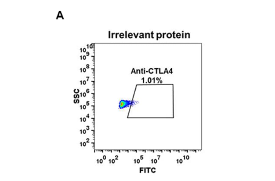Flow Cytometry - Anti-CTLA4 Antibody [DM50] - BSA and Azide free (A318646) - Antibodies.com