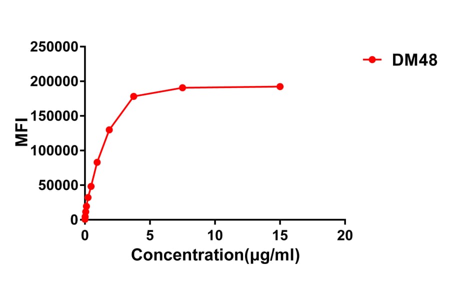 Flow Cytometry - Anti-ACE2 Antibody [DM48] - BSA and Azide free (A318647) - Antibodies.com