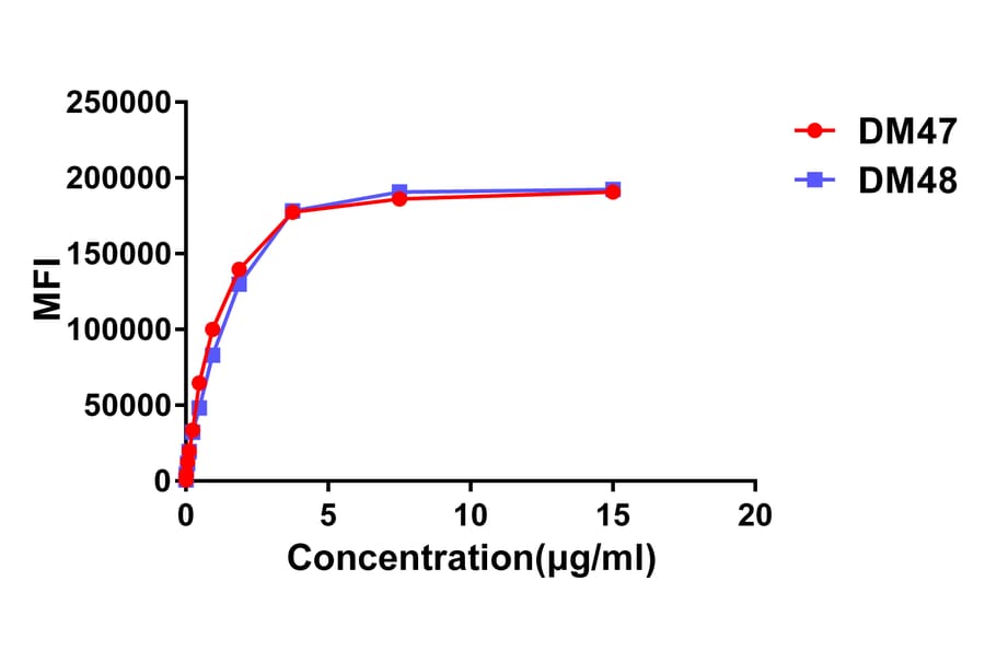Flow Cytometry - Anti-ACE2 Antibody [DM48] - BSA and Azide free (A318647) - Antibodies.com