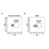 Flow Cytometry - Anti-ACE2 Antibody [DM47] - Azide free (A318648) - Antibodies.com