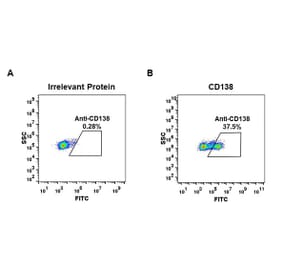 Flow Cytometry - Anti-Syndecan-1 Antibody [DM45] - Azide free (A318650) - Antibodies.com