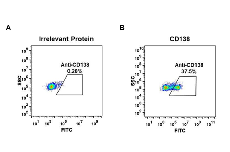 Flow Cytometry - Anti-Syndecan-1 Antibody [DM45] - BSA and Azide free (A318650) - Antibodies.com