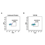 Flow Cytometry - Anti-Syndecan-1 Antibody [DM45] - BSA and Azide free (A318650) - Antibodies.com
