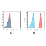 Flow Cytometry - Anti-Syndecan-1 Antibody [DM45] - BSA and Azide free (A318650) - Antibodies.com