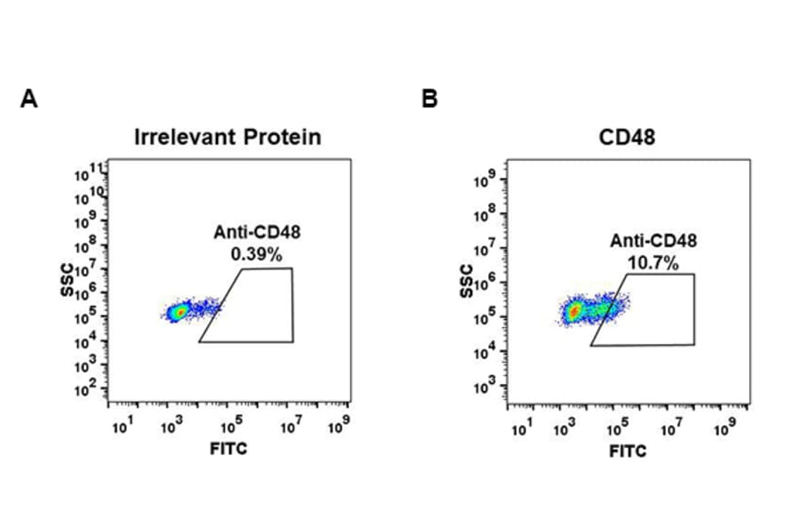 Flow Cytometry - Anti-CD48 Antibody [DM44] - BSA and Azide free (A318651) - Antibodies.com
