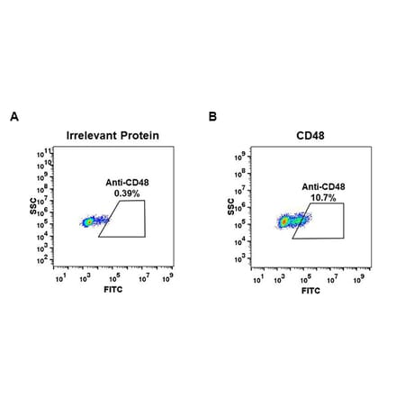 Flow Cytometry - Anti-CD48 Antibody [DM44] - BSA and Azide free (A318651) - Antibodies.com